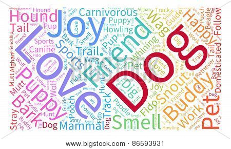 Dog Rainbow Word Cloud