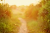 De Focused Path On Sunset
