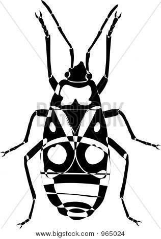 Firebug