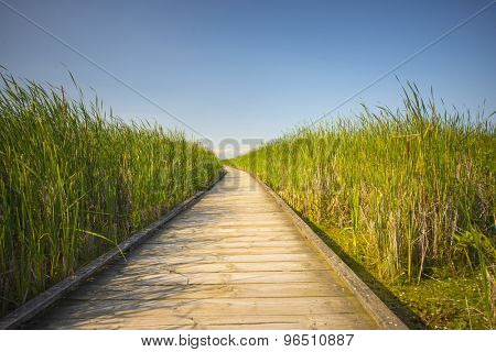 Wooden board walk on Pelee point conservation area, Ontario, Canada