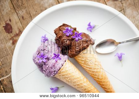 Healthy Blueberry And Cocoa Vegan Icecream