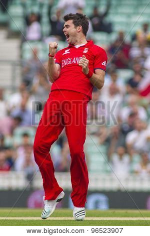 LONDON, ENGLAND - June 19 2013: James Anderson appeals for the wicket of Colin Ingramduring the ICC Champions Trophy semi final match between England and South Africa at The Oval Cricket Ground