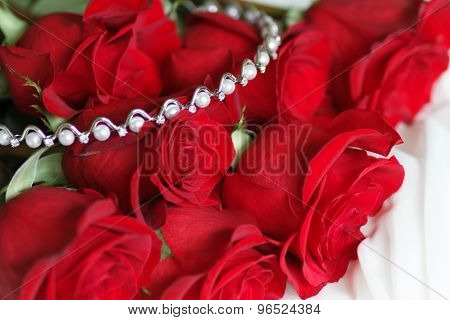 Beautiful Fresh Red Rose. Close Bud. Flower.