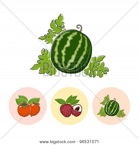 Fruit Icons, Watermelon, Lichee , Persimmon