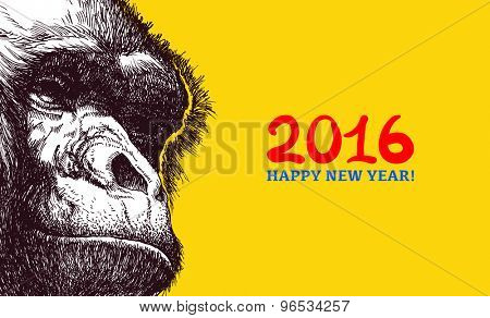 The year of the monkey. Chinese new year 2016. Monkey year.