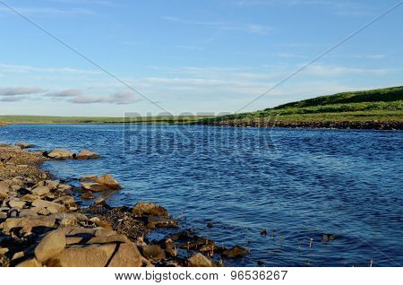 Tundra Landscape