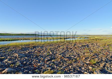 Tundra Landscape