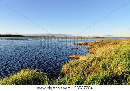 Tundra Landscape