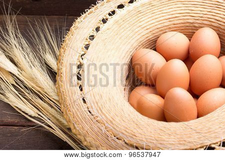 Chicken Egg