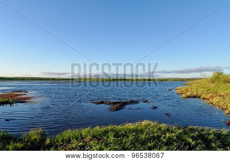 Tundra Landscape
