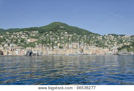 View Of The Harbor Of Camogli
