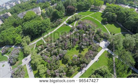 Citizens get rest in Lilac Garden near Dry Fountain at spring sunny day. Aerial view
