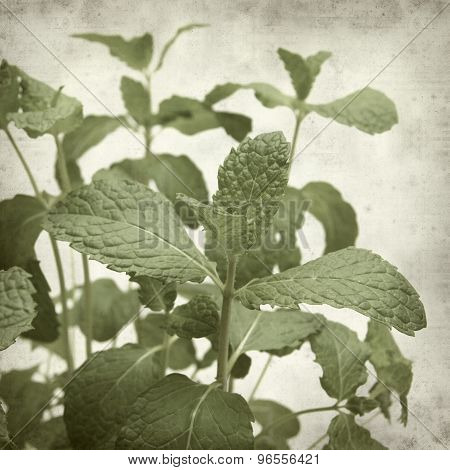 Textured Old Paper Background