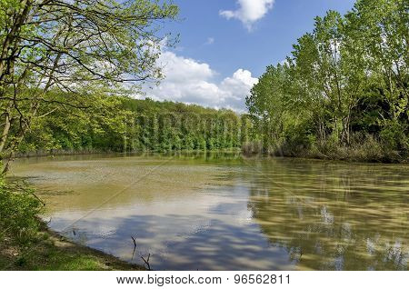 Small dam in the beautiful forest