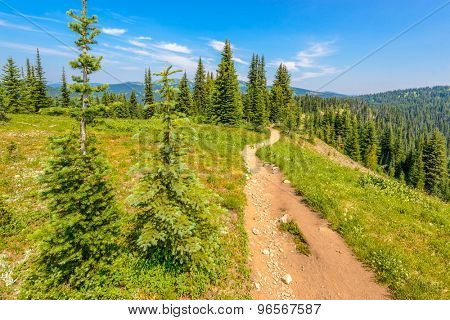Beautiful Mountain Trail. Blackwall Peak Trail at Manning Park in British Columbia. Canada.