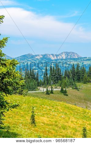 Beautiful Mountain Trail. Blackwall Peak Trail at Manning Park in British Columbia. Canada.