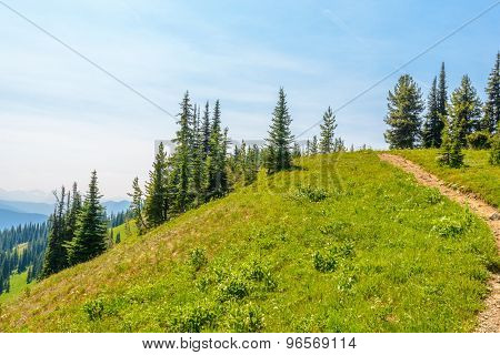 Beautiful Mountain Trail. Blackwall Peak Trail at Manning Park in British Columbia. Canada.