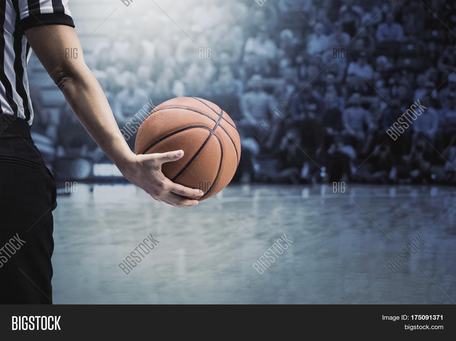 Basketball Referee Image & Photo (Free Trial) Bigstock