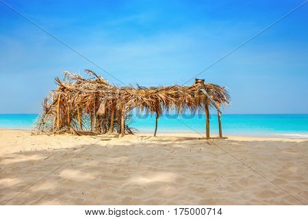 Hovel made of palm leaves on the beach