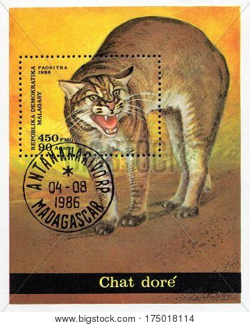 UKRAINE - CIRCA 2017: A stamp printed in Malagasy Madagascar shows Chaus panther circa 1986