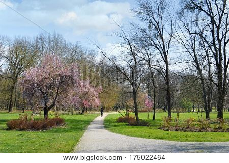 Spring in Maksimir park in Zagreb, Croatia