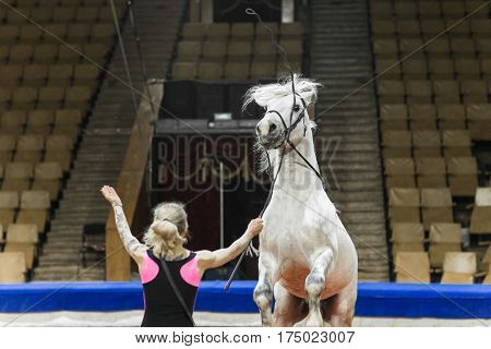 Female trainer to train a horse in the arena at the circus.