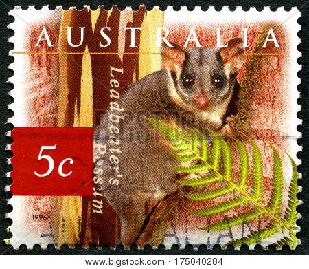 AUSTRALIA - CIRCA 1996: A used postage stamp from Australia depicting an illustration of a Leadbeaters Possum circa 1996.