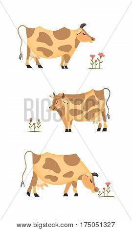 Domestic Animal icon set. Dairy cattle sign. Freehand drawn cute cartoon style. Vector Milk cow symbol. Grazing mammals with flowers for your projects, poster background. Farming cow illustration