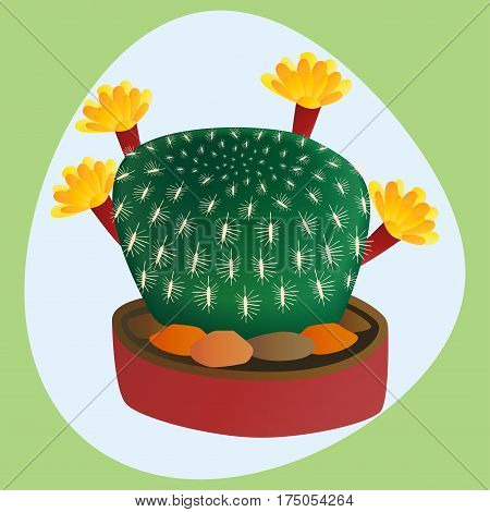 Cactus flat style nature desert flower green cartoon drawing graphic mexican succulent and tropical plant garden art cacti floral vector illustration. Style prickly botanical houseplant in pot.