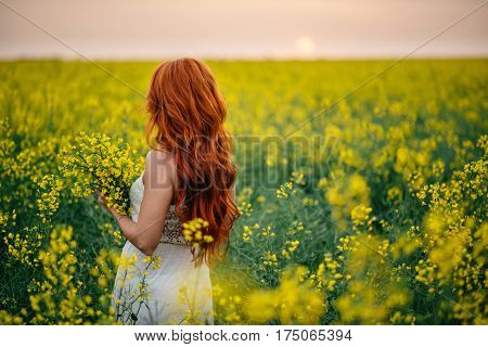 Young beautiful red-haired woman in a flowering rapeseed field at sunset with her back to the camera