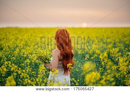 Young beautiful red-haired woman in a flowering rapeseed field at sunset with her back to the camera