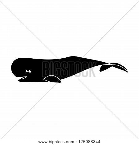 Sperm whale icon in black design isolated on white background. Sea animals symbol stock vector illustration.