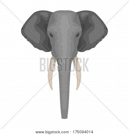 Elephant icon in cartoon design isolated on white background. Realistic animals symbol stock vector illustration.