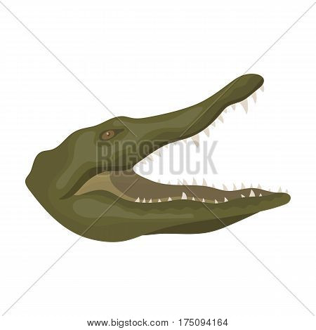 Crocodile icon in cartoon design isolated on white background. Realistic animals symbol stock vector illustration.