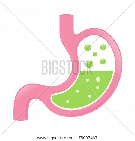 Vector stock of stomach icon with green acid fluid and bubbles
