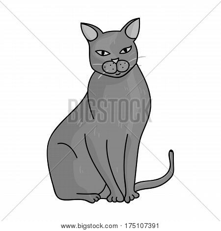 Chartreux icon in monochrome design isolated on white background. Cat breeds symbol stock vector illustration.