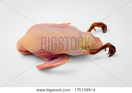 Organic game duck meat uncooked ready for cooking single one white background