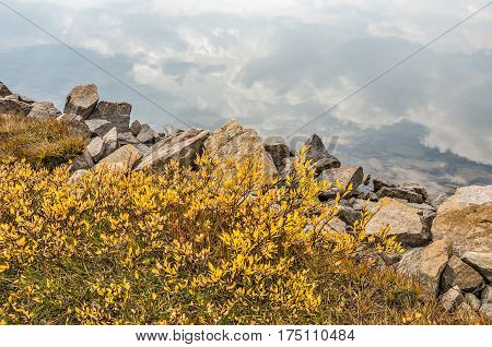 Cumulus clouds reflecting in a clear mountain lake along the Beartooth Highway with bright yellow leaves and multi-colored rocks along the edge of the lake