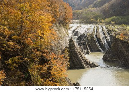 Autumn orange trees in front of Chidorigataki waterfall in Yubari, Hokkaido