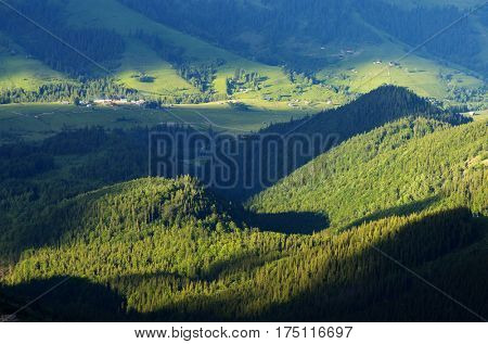 Summer landscape in green tones. Settlement in a mountain valley. Sunny evening. Dzembronya village, Carpathian, Ukraine, Europe