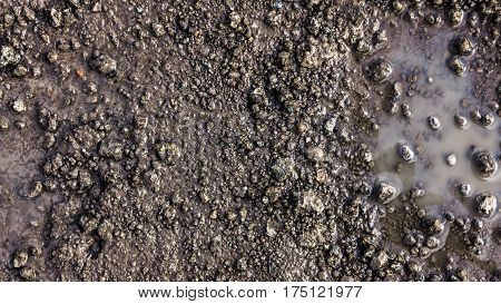 Close up wet country road in a spring natural abstract background