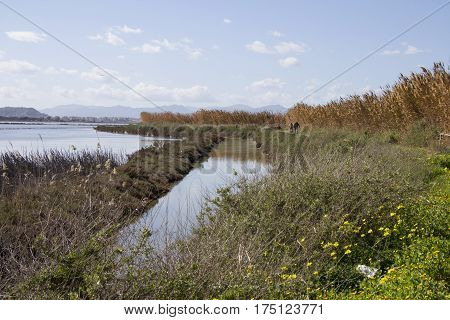 QUARTU S..ELENA: Overview of the saline within the Molentargius Regional Park - Sardinia
