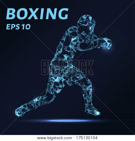 Boxer Consists Of Points, Lines And Triangles. The Polygon Shape In The Form Of A Silhouette Of A Bo