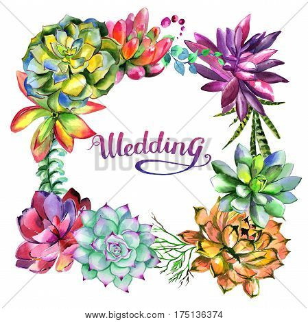 Wildflower succulentus flower frame in a watercolor style isolated. Full name of the plant: succulentus. Aquarelle wild flower for background, texture, wrapper pattern, frame or border.