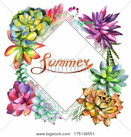 Wildflower succulentus flower frame in a watercolor style isolated. Full name of the plant: succulentus. Aquarelle wild flower for background, texture, wrapper pattern, frame or border.