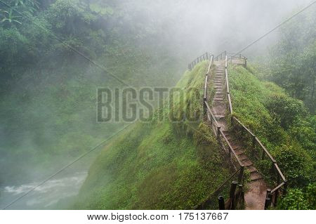 Fog and Mist Green Mountain with Ladder