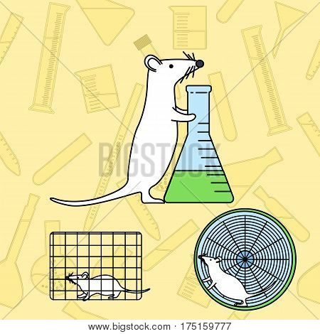 Mouse In Lab Experiments