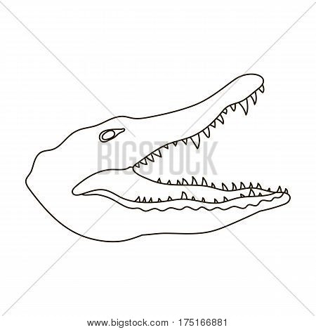 Crocodile icon in outline design isolated on white background. Realistic animals symbol stock vector illustration.