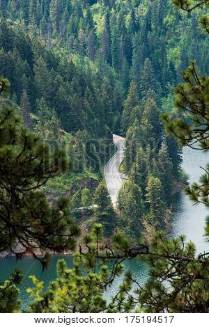 View of road in forest by lake from Mineral Ridge National Recreation Trail in Idaho near Coeur d'Alene lake