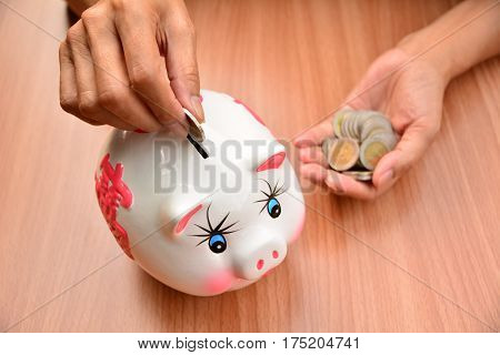 Person putting coin in piggy bank for saving and business concept.